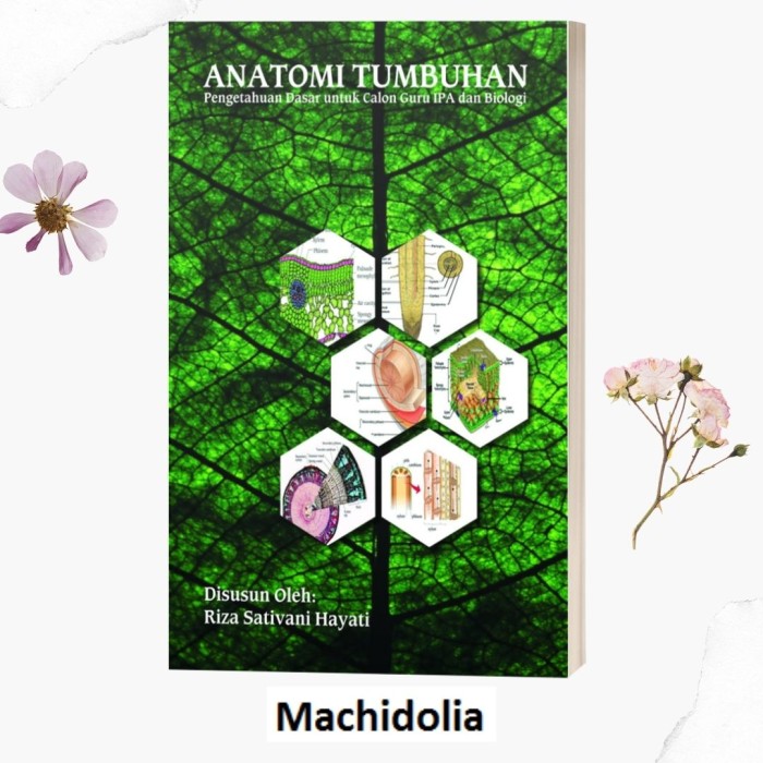 Anatomi Tumbuhan Penerbit Deepblish