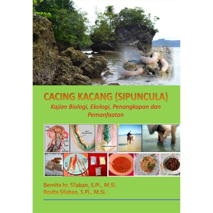 Cacing Kacang (Sipuncula): Kajian Biologi, Ekologi, Penangkapan,