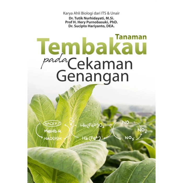 Tanaman Tembakau Pada Cekaman Genangan - Deepublish