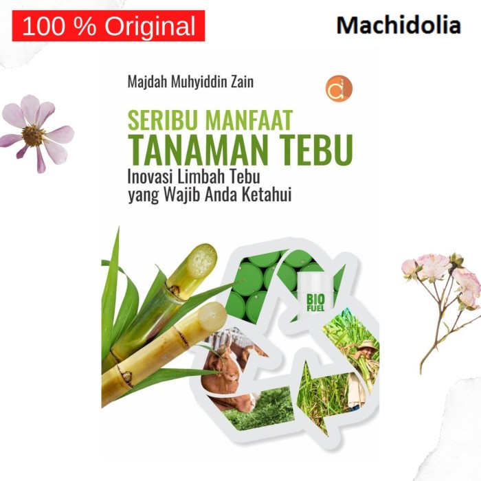 Seribu Manfaat Tanaman Tebu