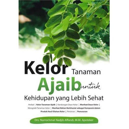 Kelor Tanaman Ajaib Untuk Kehidupan Yang Lebih Sehat - al