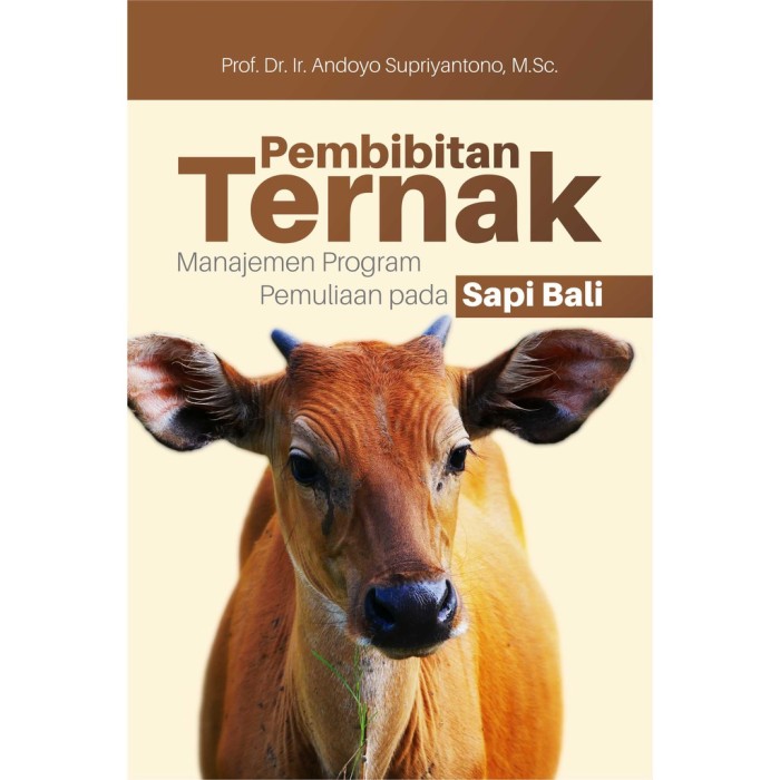 Pembibitan Ternak Manajemen Program Pemuliaan Pada Sapi Bali Full