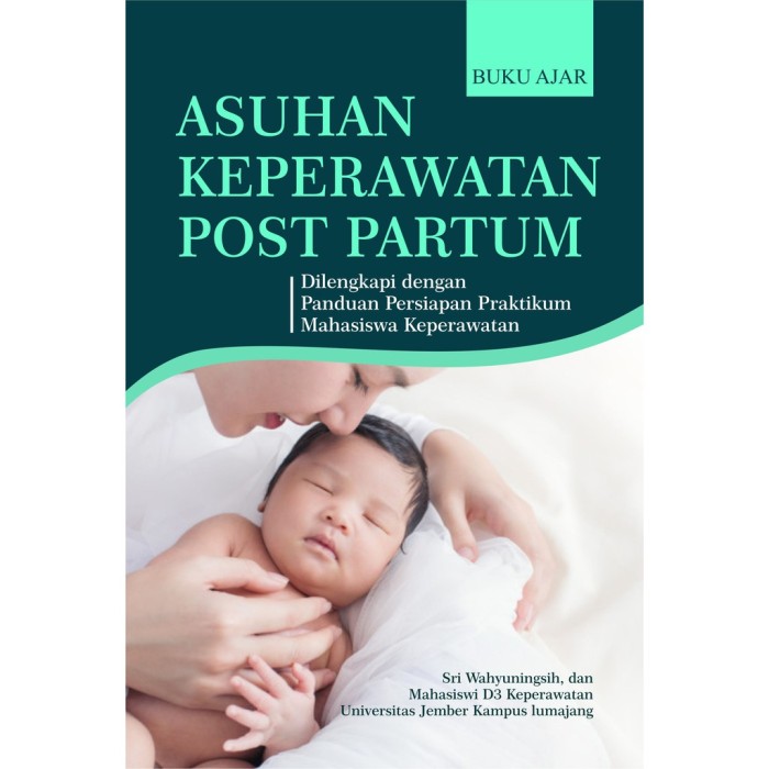Asuhan Keperawatan Postpartum Deepublish
