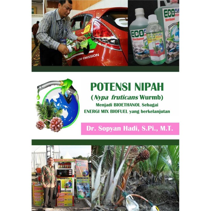 Buku Potensi Nimpah