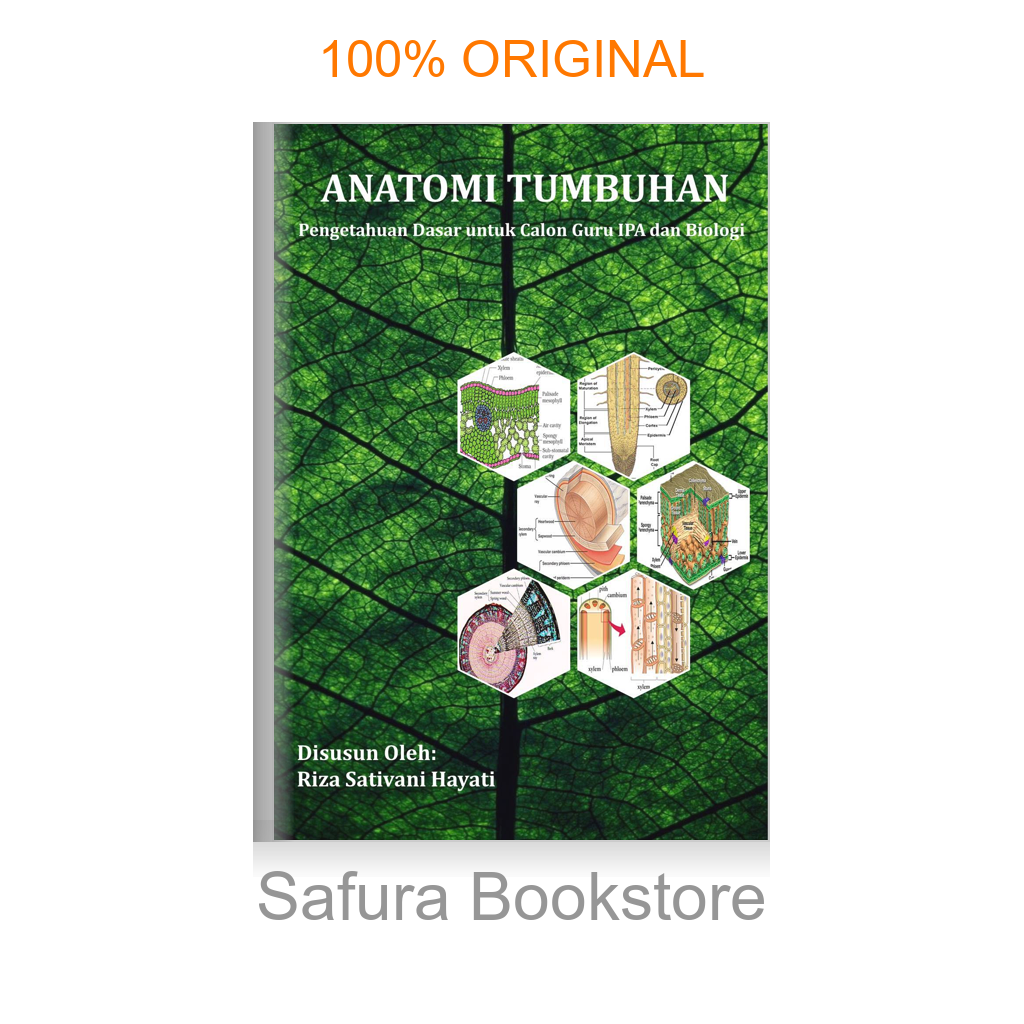Buku Anatomi Tumbuhan Pengetahuan Dasar untuk Calon Guru IPA dan Biologi