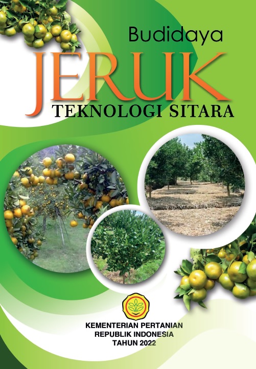Budidaya Jeruk Teknologi Sitara