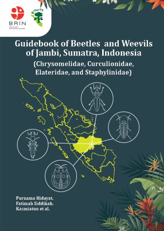 Guidebook of Beetles and Weevils of Jambi,  Sumatra, Indonesia (Chrysomelidae,  Curculionidae, Elateridae, and Staphylinidae)